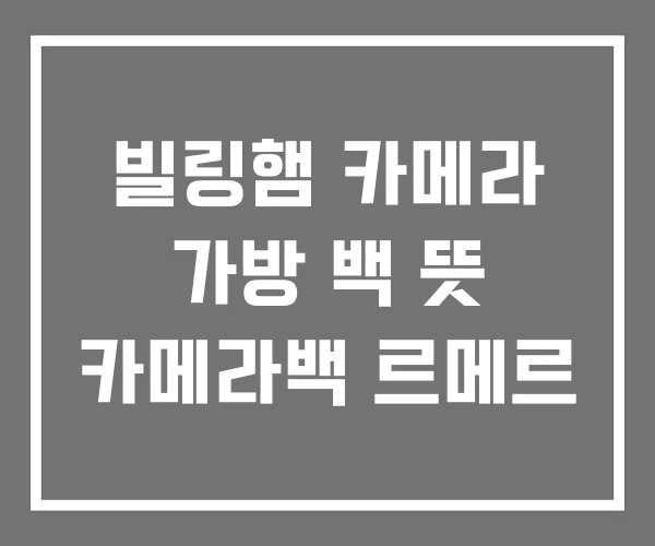 빌링햄 카메라 가방 백 뜻 카메라백 르메르
