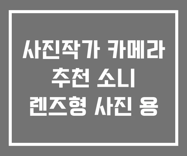 사진작가 카메라 추천 소니 렌즈형 사진 용