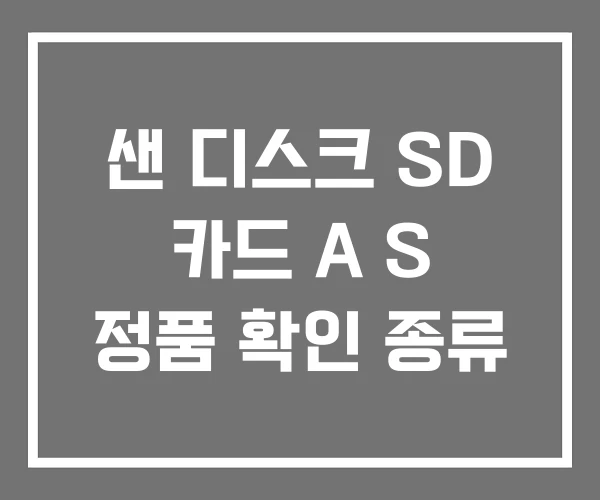 샌 디스크 SD 카드 A S 정품 확인 종류