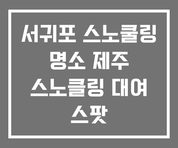 서귀포 스노쿨링 명소 제주 스노클링 대여 스팟