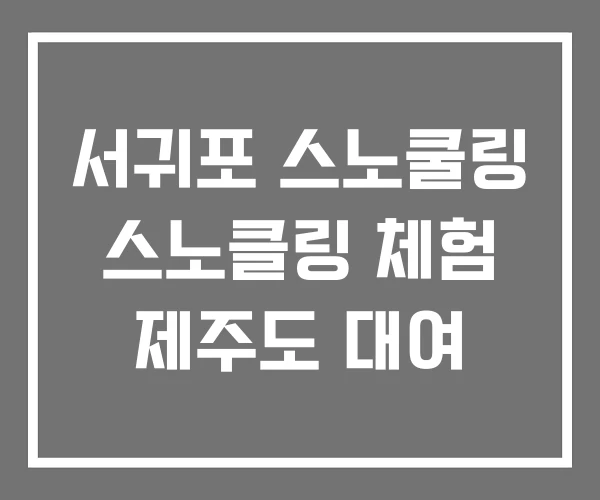 서귀포 스노쿨링 스노클링 체험 제주도 대여