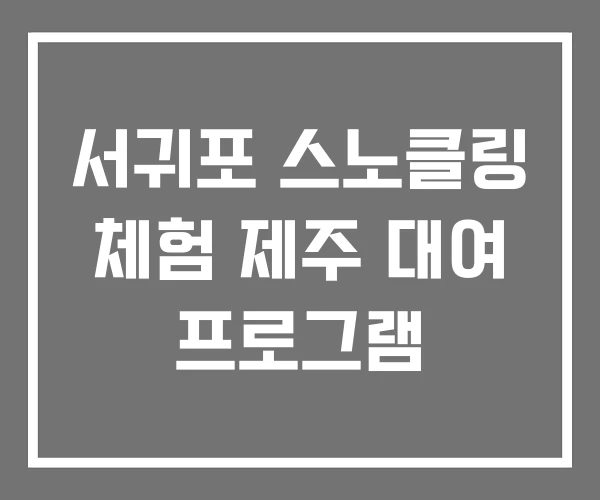 서귀포 스노클링 체험 제주 대여 프로그램