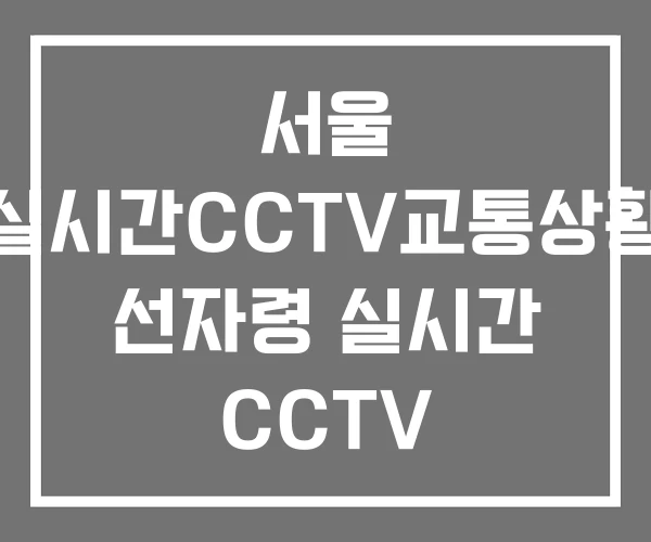 서울 실시간CCTV교통상황 선자령 실시간 CCTV