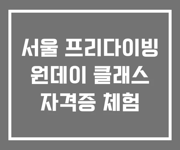 서울 프리다이빙 원데이 클래스 자격증 체험 서울 프리다이빙 원데이 클래스 자격증 체험