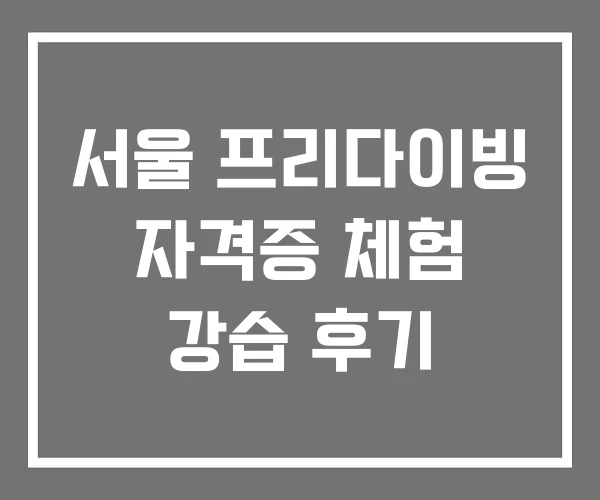서울 프리다이빙 자격증 체험 강습 후기
