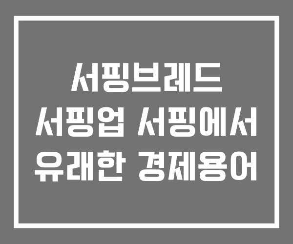 서핑브레드 서핑업 서핑에서 유래한 경제용어