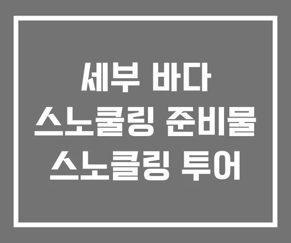 세부 바다 스노쿨링 준비물 스노클링 투어