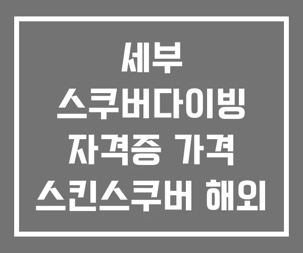 세부 스쿠버다이빙 자격증 가격 스킨스쿠버 해외