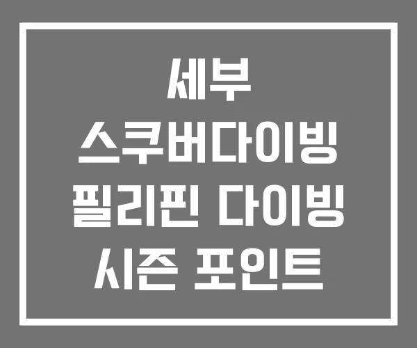 세부 스쿠버다이빙 필리핀 다이빙 시즌 포인트