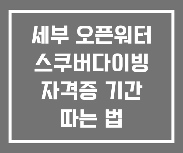 세부 오픈워터 스쿠버다이빙 자격증 기간 따는 법