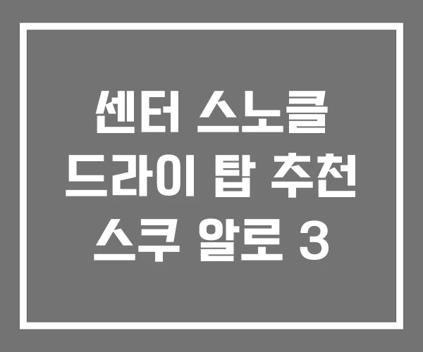 센터 스노클 드라이 탑 추천 스쿠 알로 3