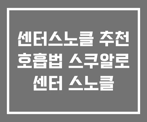 센터스노클 추천 호흡법 스쿠알로 센터 스노클 센터스노클 추천 호흡법 스쿠알로 센터 스노클