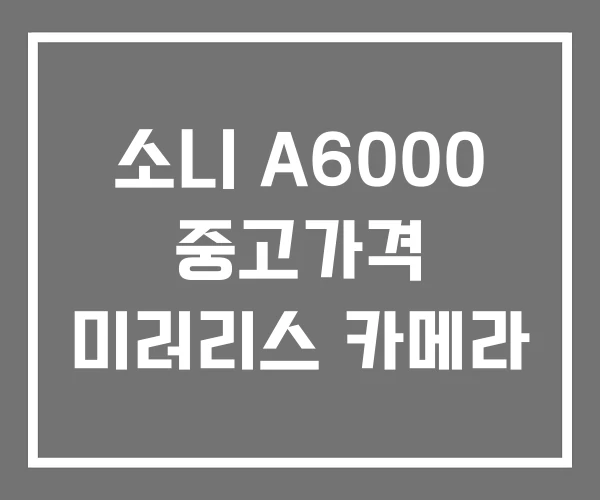 소니 A6000 중고가격 미러리스 카메라