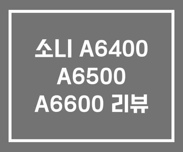 소니 A6400 A6500 A6600 리뷰