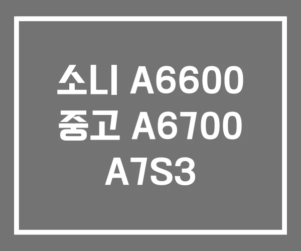 소니 A6600 중고 A6700 A7S3