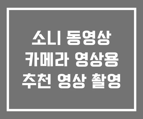 소니 동영상 카메라 영상용 추천 영상 촬영
