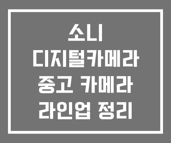 소니 디지털카메라 중고 카메라 라인업 정리 신제품