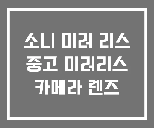 소니 미러 리스 중고 미러리스 카메라 렌즈