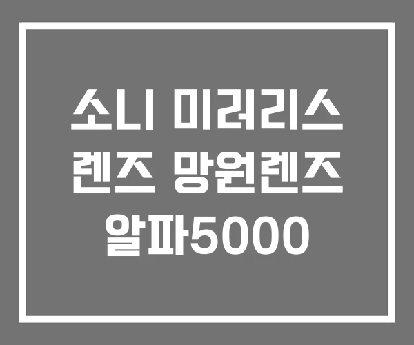 소니 미러리스 렌즈 망원렌즈 알파5000