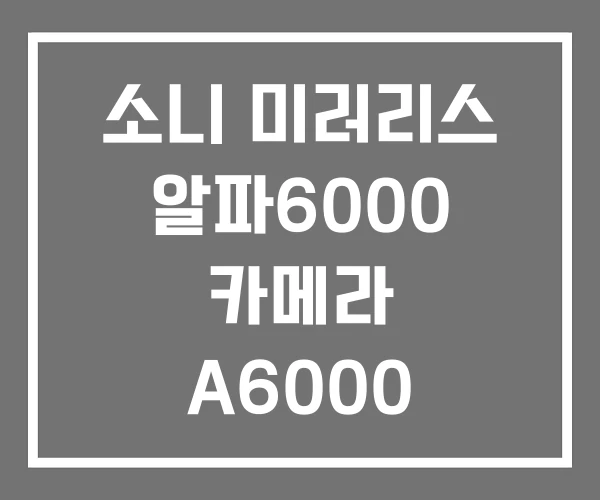 소니 미러리스 알파6000 카메라 A6000