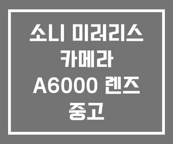 소니 미러리스 카메라 A6000 렌즈 중고 소니 미러리스 카메라 A6000 렌즈 중고