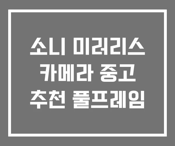 소니 미러리스 카메라 중고 추천 풀프레임