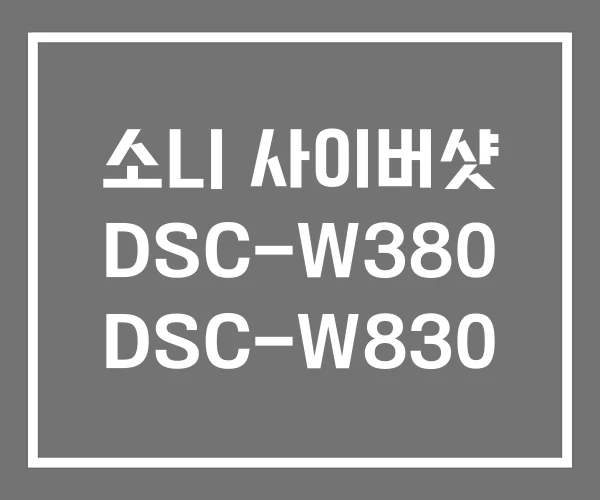 소니 사이버샷 DSC-W380 DSC-W830