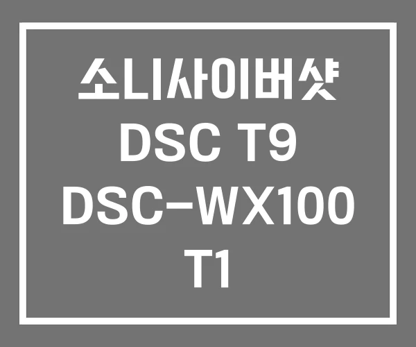소니사이버샷 DSC T9 DSC-WX100 T1