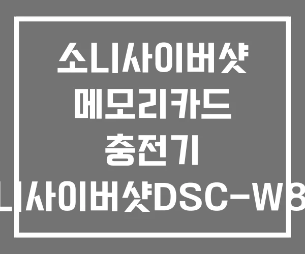 소니사이버샷 메모리카드 충전기 소니사이버샷DSC-W810