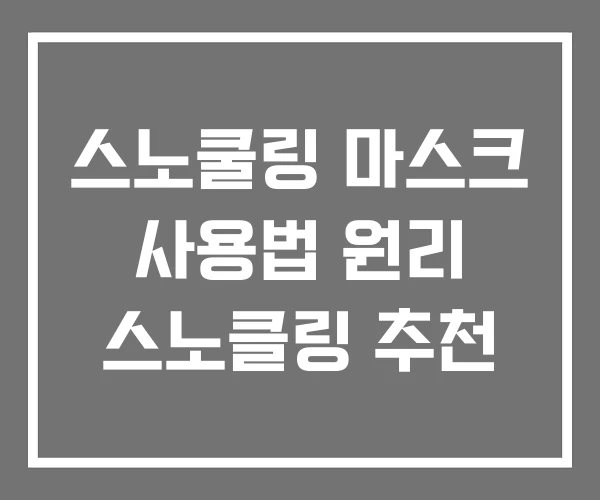 스노쿨링 마스크 사용법 원리 스노클링 추천