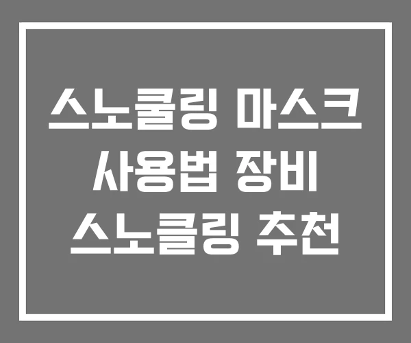 스노쿨링 마스크 사용법 장비 스노클링 추천