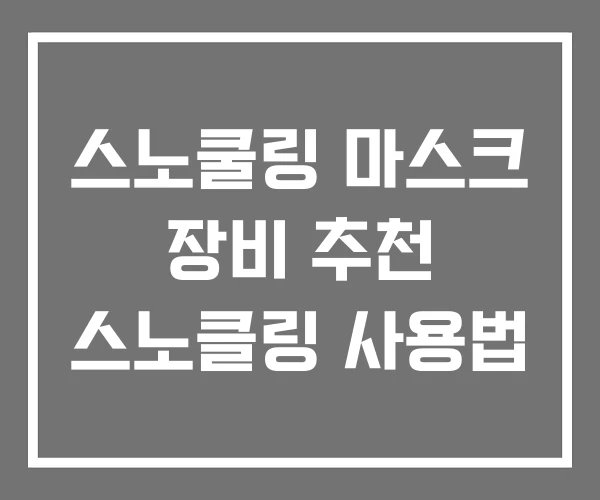 스노쿨링 마스크 장비 추천 스노클링 사용법
