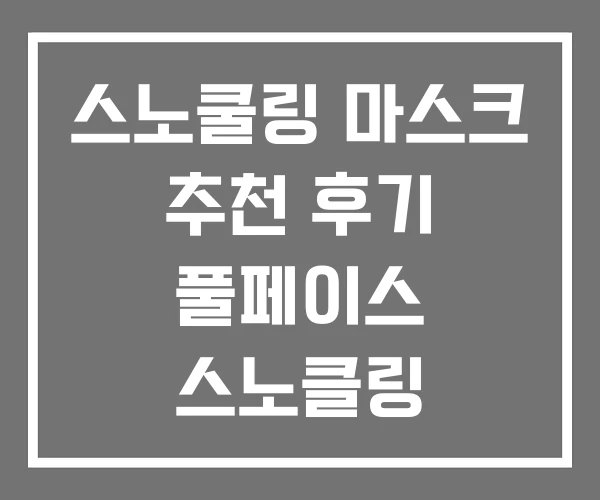 스노쿨링 마스크 추천 후기 풀페이스 스노클링