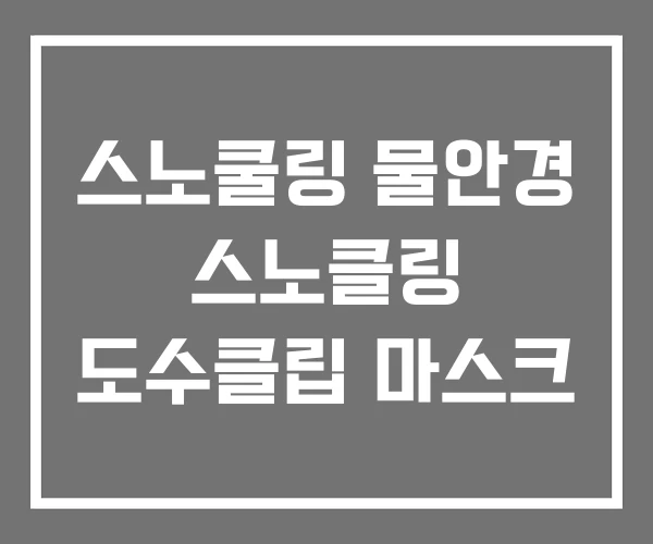 스노쿨링 물안경 스노클링 도수클립 마스크