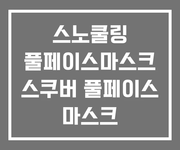 스노쿨링 풀페이스마스크 스쿠버 풀페이스 마스크