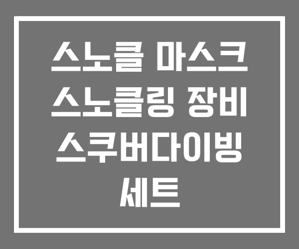 스노클 마스크 스노클링 장비 스쿠버다이빙 세트