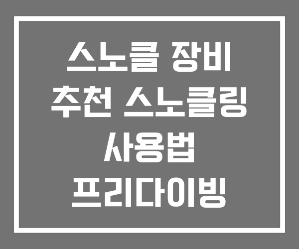 스노클 장비 추천 스노클링 사용법 프리다이빙