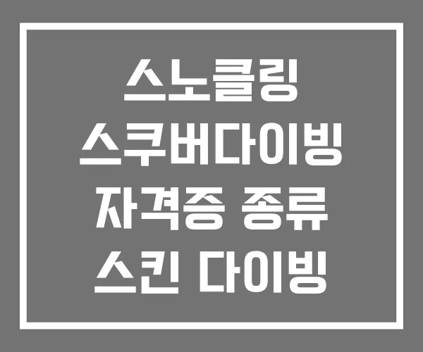 스노클링 스쿠버다이빙 자격증 종류 스킨 다이빙 스노클링 스쿠버다이빙 자격증 종류 스킨 다이빙