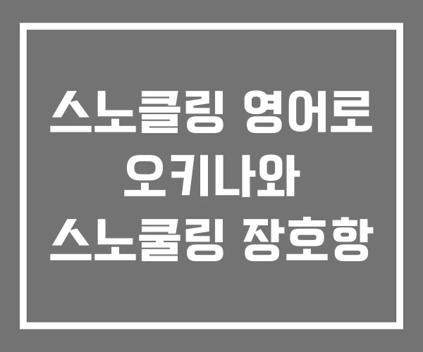 스노클링 영어로 오키나와 스노쿨링 장호항