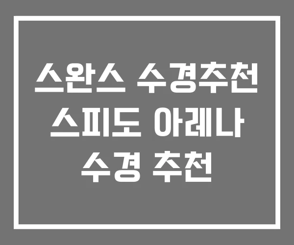 스완스 수경추천 스피도 아레나 수경 추천