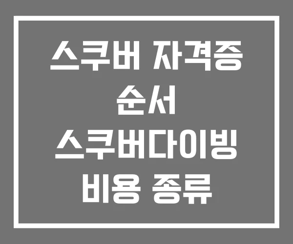 스쿠버 자격증 순서 스쿠버다이빙 비용 종류