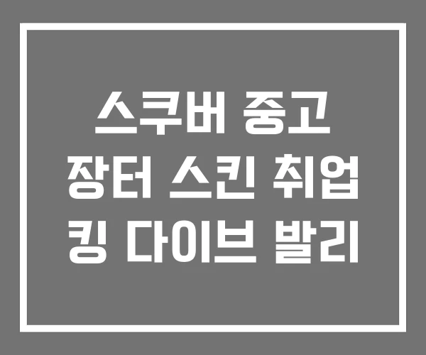 스쿠버 중고 장터 스킨 취업 킹 다이브 발리