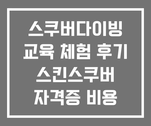 스쿠버다이빙 교육 체험 후기 스킨스쿠버 자격증 비용