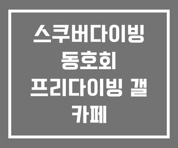 스쿠버다이빙 동호회 프리다이빙 갤 카페