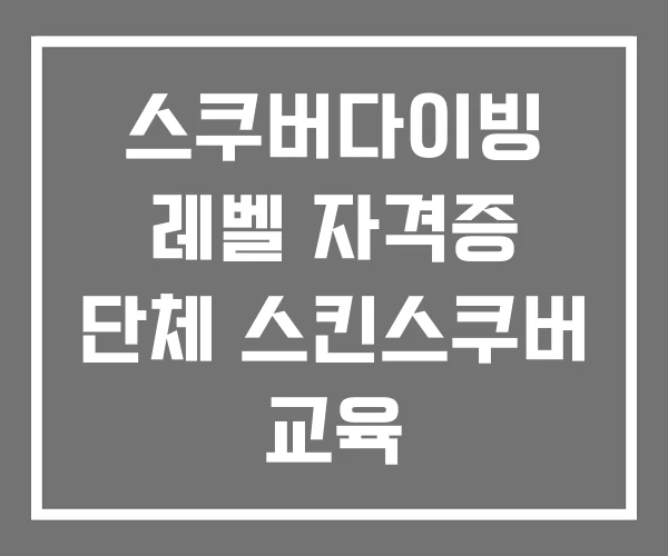 스쿠버다이빙 레벨 자격증 단체 스킨스쿠버 교육