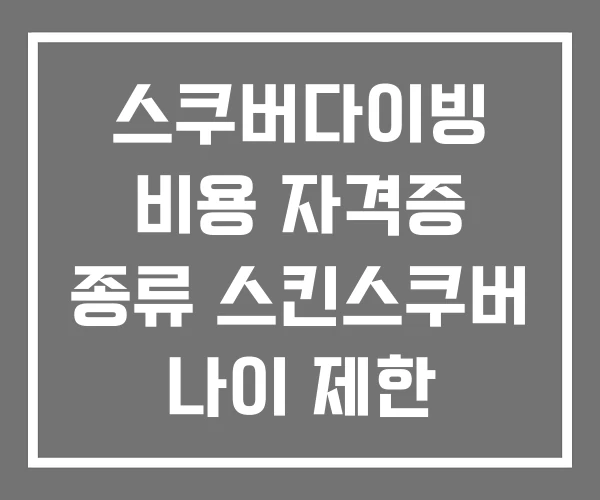 스쿠버다이빙 비용 자격증 종류 스킨스쿠버 나이 제한