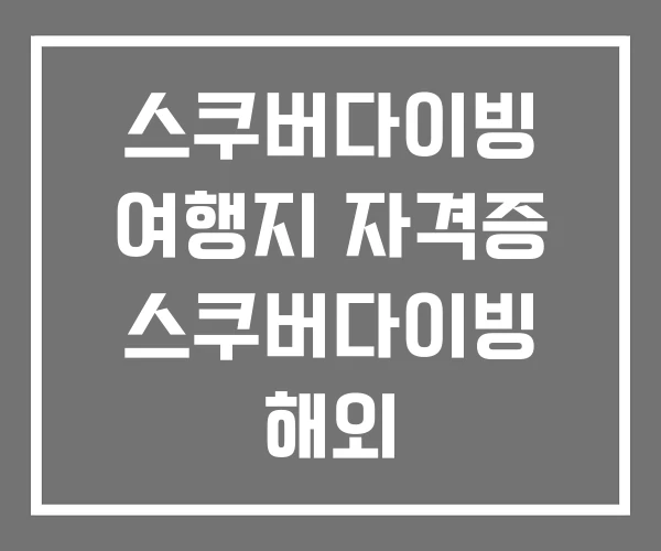 스쿠버다이빙 여행지 자격증 스쿠버다이빙 해외