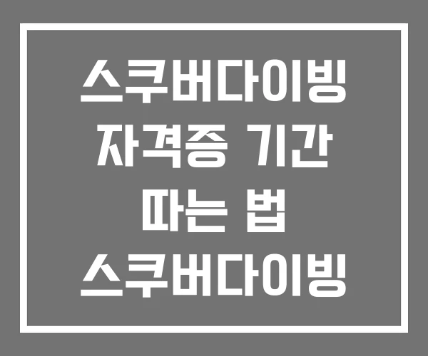 스쿠버다이빙 자격증 기간 따는 법 스쿠버다이빙 비용