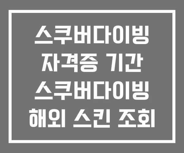 스쿠버다이빙 자격증 기간 스쿠버다이빙 해외 스킨 조회