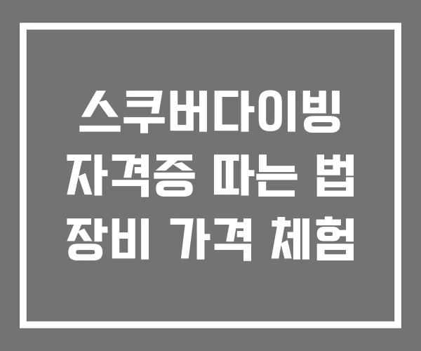 스쿠버다이빙 자격증 따는 법 장비 가격 체험